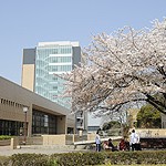 淑徳大学