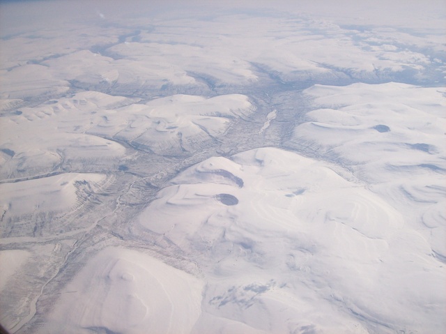 verme no permafrost siberiano