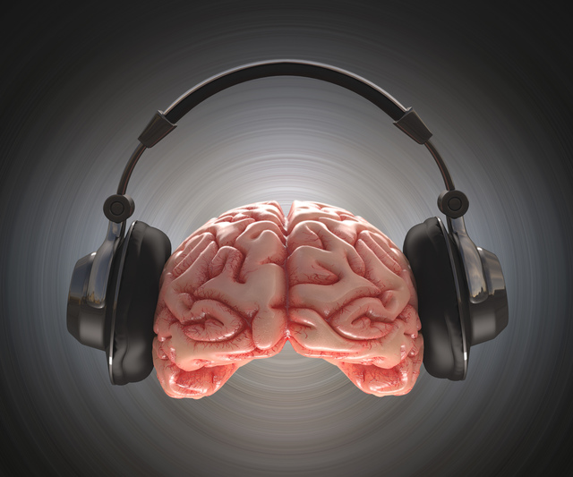 運動リズム学習で脳波が同期 音楽やダンスに応用も 筑波大学 大学ジャーナルオンライン