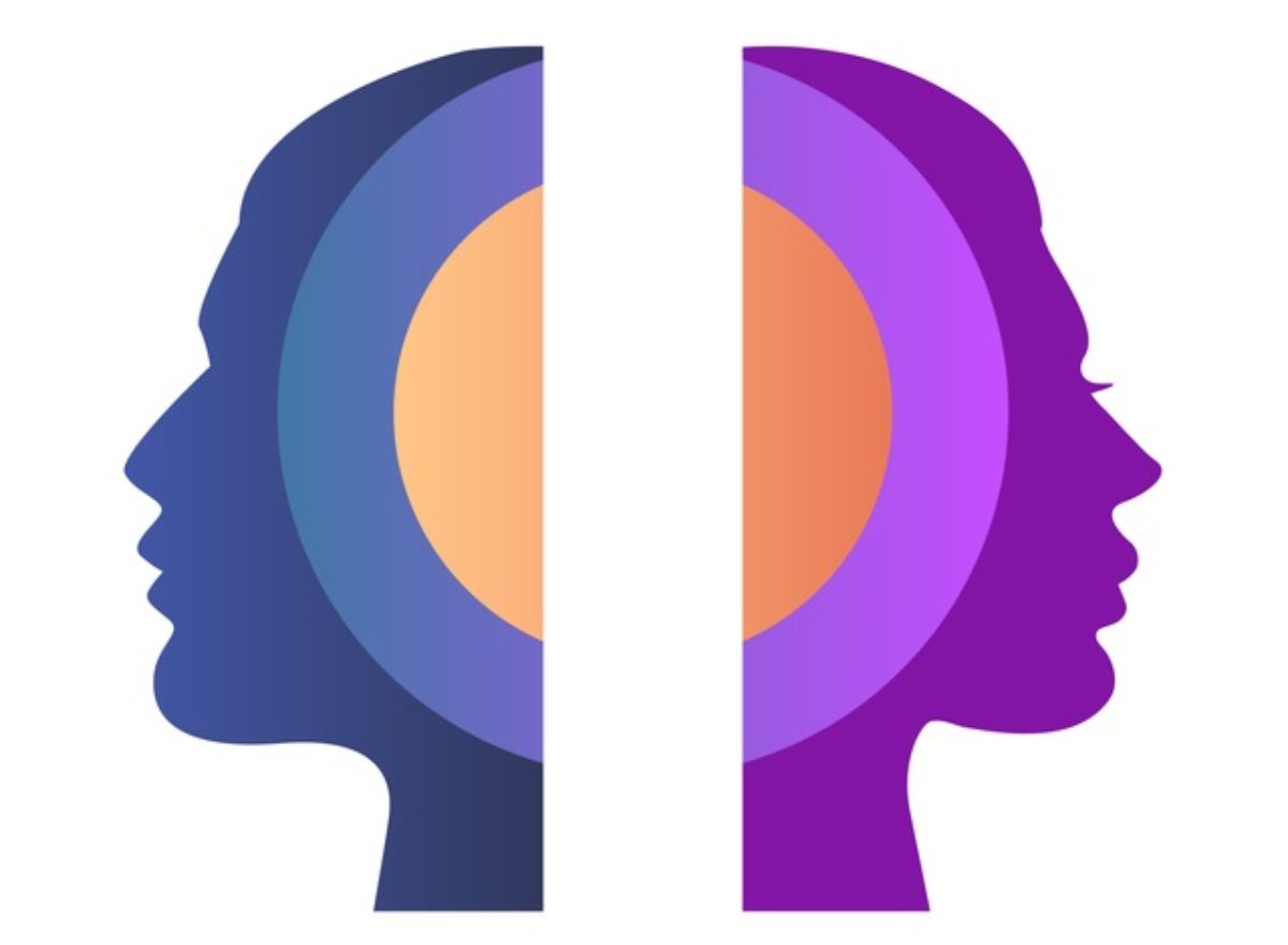 マウス自発行動量の性差について 原因の一端を解明 九州大学 大学ジャーナルオンライン