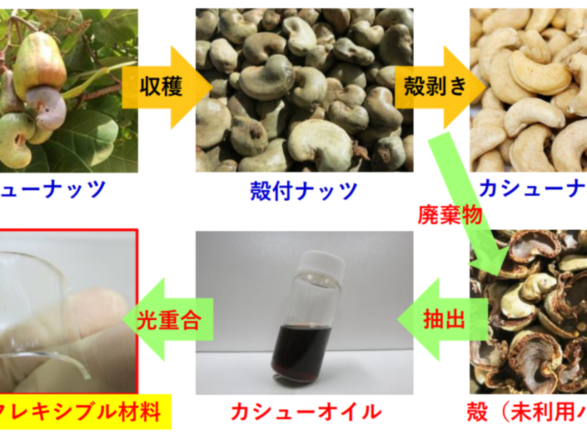 カシュー