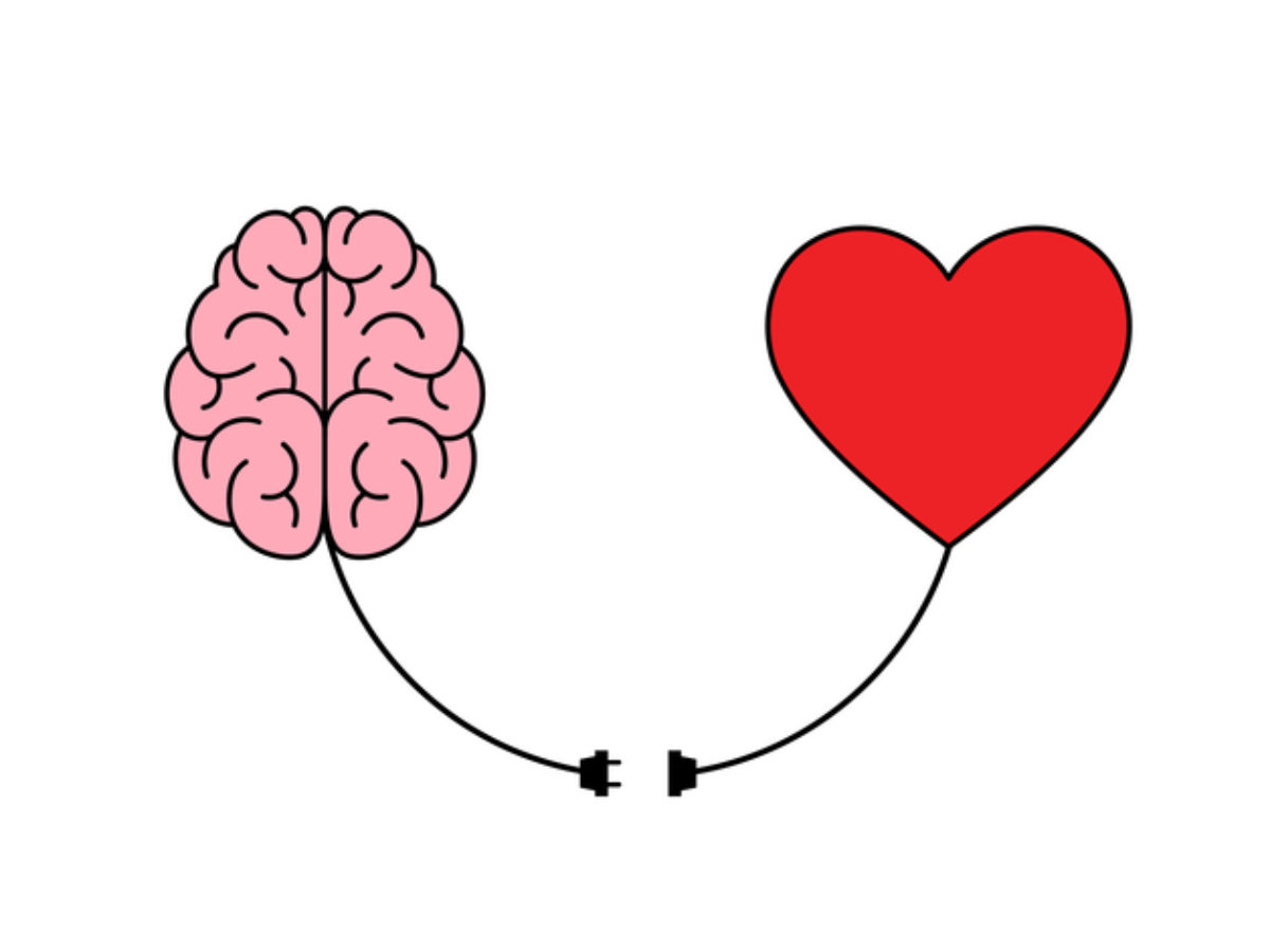 心と身体をつなぐ 心身相関 の神経回路 名古屋大学が解明 大学ジャーナルオンライン