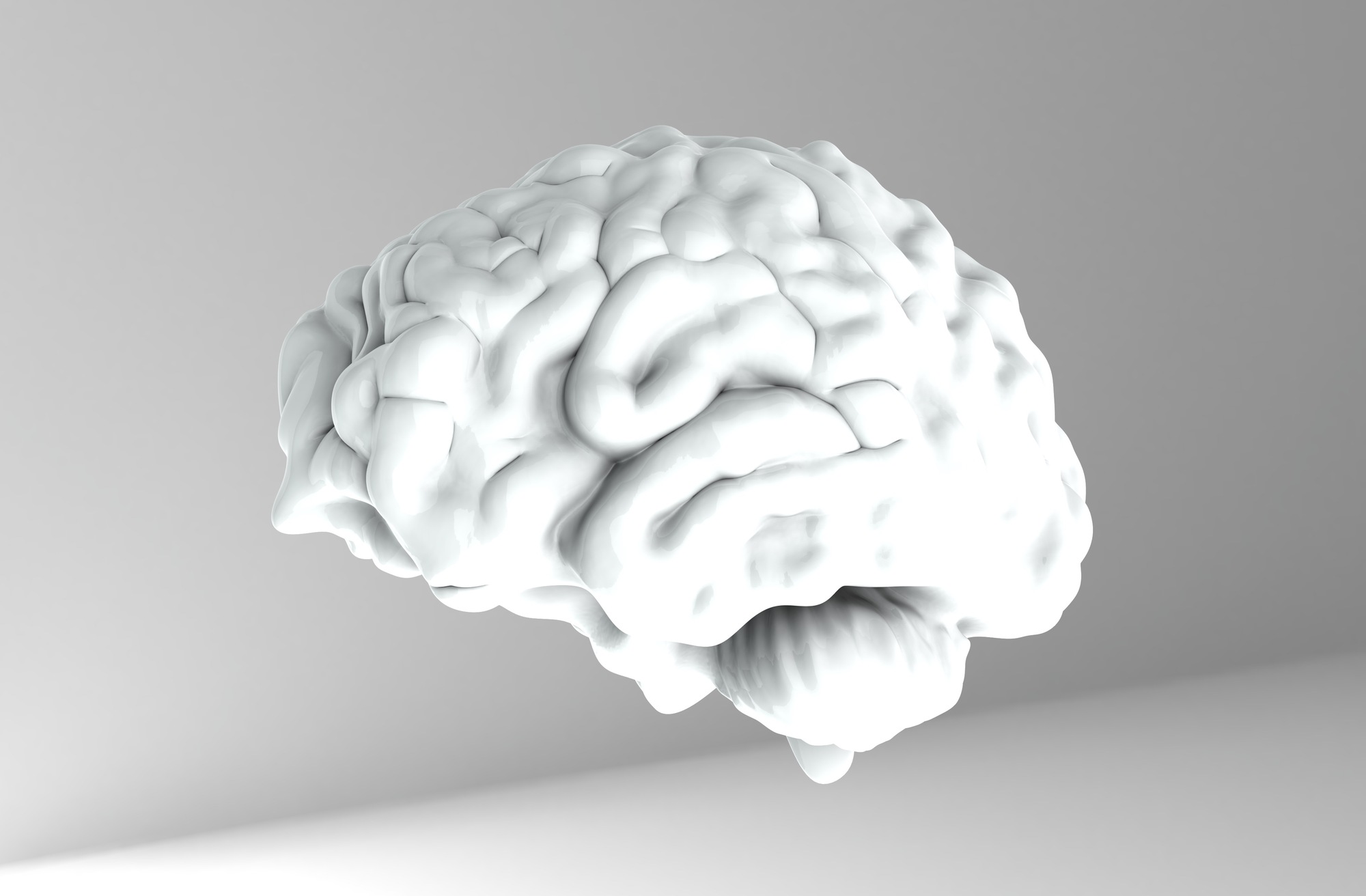 加齢で低下する脳の修復力を回復させるメカニズムを発見 大学ジャーナルオンライン