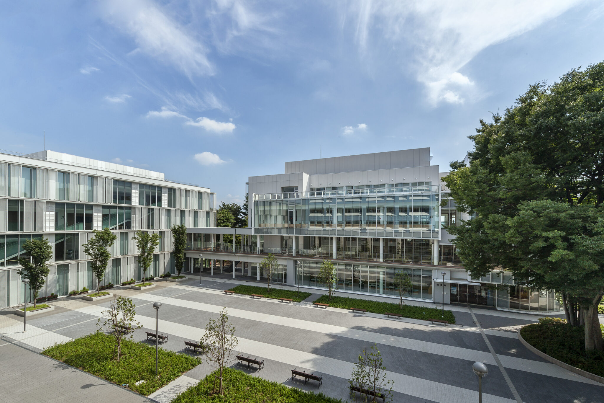 Tokyo Keizai University 東京経済大学