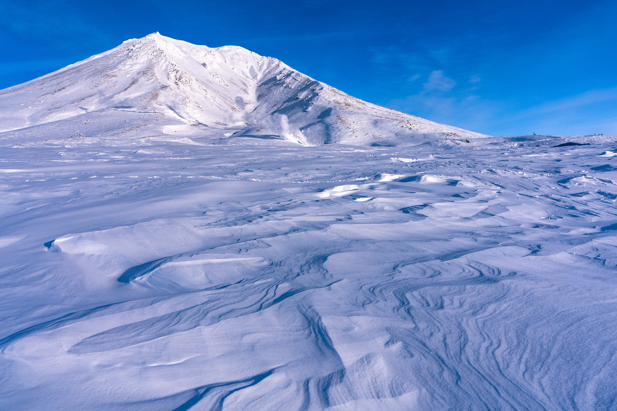 大雪山の永久凍土 温暖化で消失の危機 北海道大学など予測 大学ジャーナルオンライン 大雪山の永久凍土 温暖化で消失の危機 北海道大学など予測 大学ジャーナルオンライン