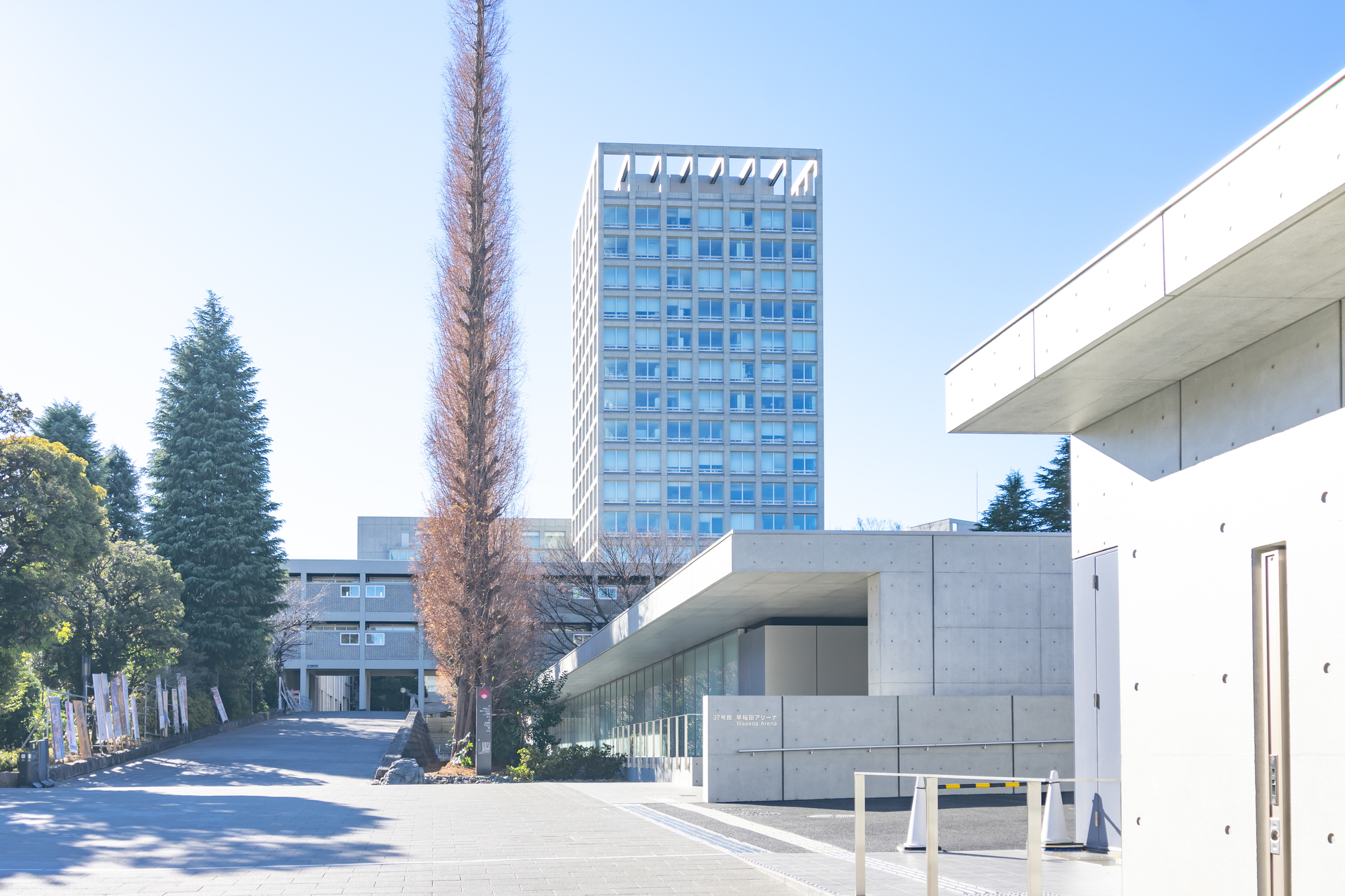 早稲田大学 社会科学部 2024〜1999年 28年分 早い者勝ち！！ 早稲田