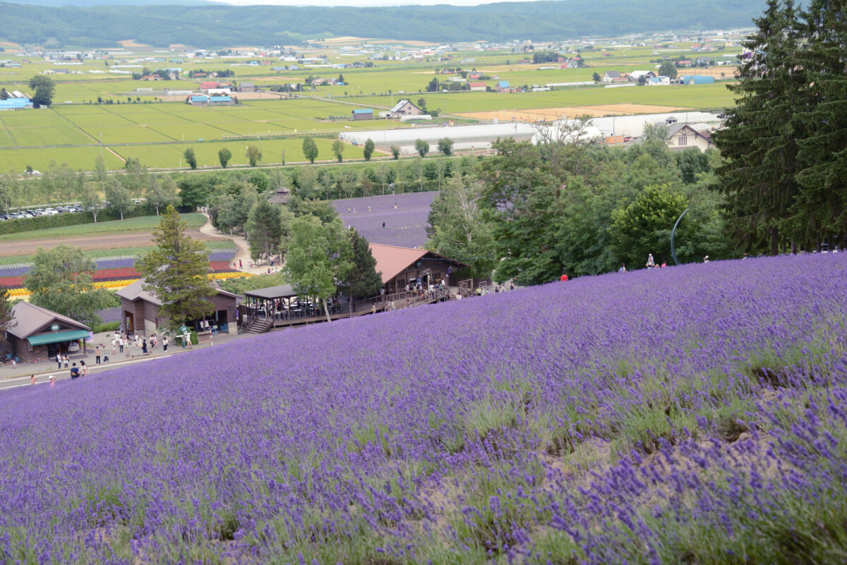 hokkaido-university-furano-city-oracle-japan-and-smart-city