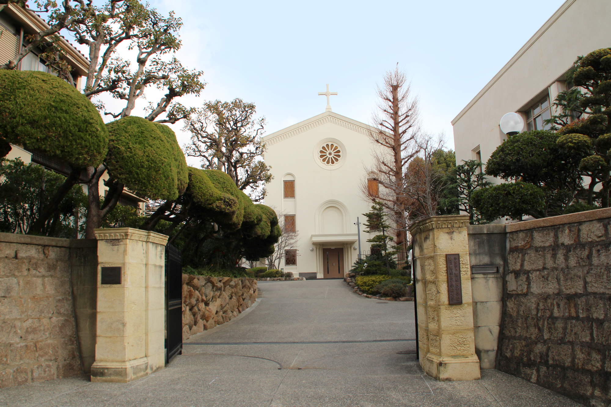 公の場での発言・インタビュー報道記録