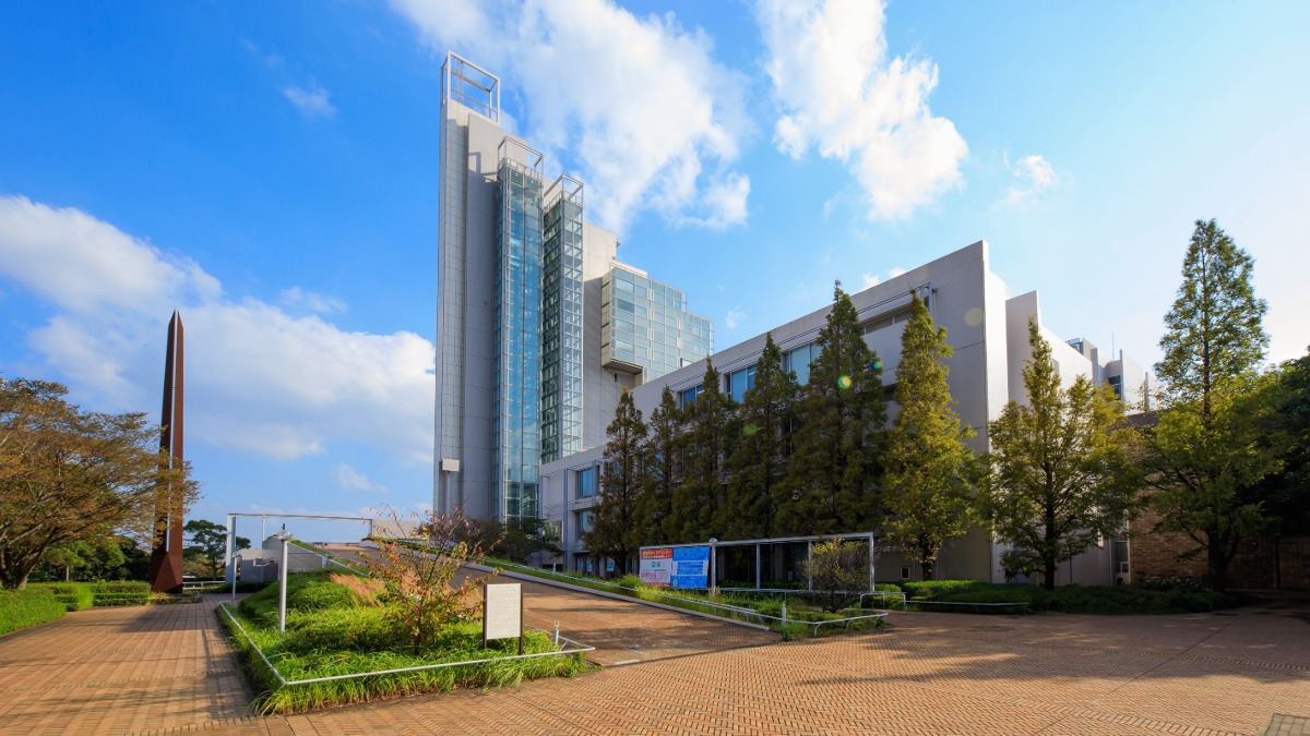 【中古】 北九州市立大学（2006） 中古】 北九州市立大学 2006/教学社