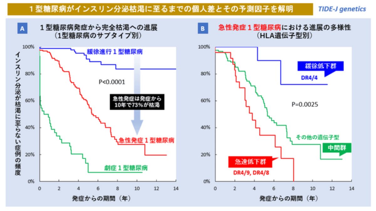 近畿大学 1型糖尿病におけるインスリン枯渇速度の個人差に関する因子を