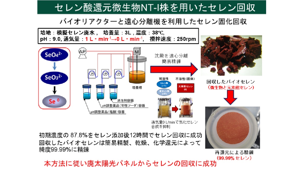 世界初！芝浦工業大学 廃太陽電池からレアメタルを回収