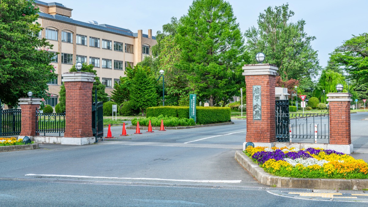 岩手大学 教育学部 「希望郷いわて」教員養成枠を新設 2027年度入試